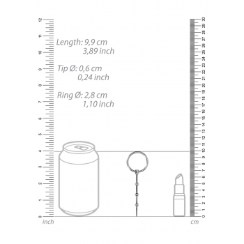 Уретральный плаг Metal Penis Plug – 0.3 / 6 mm - SHOTS, NL